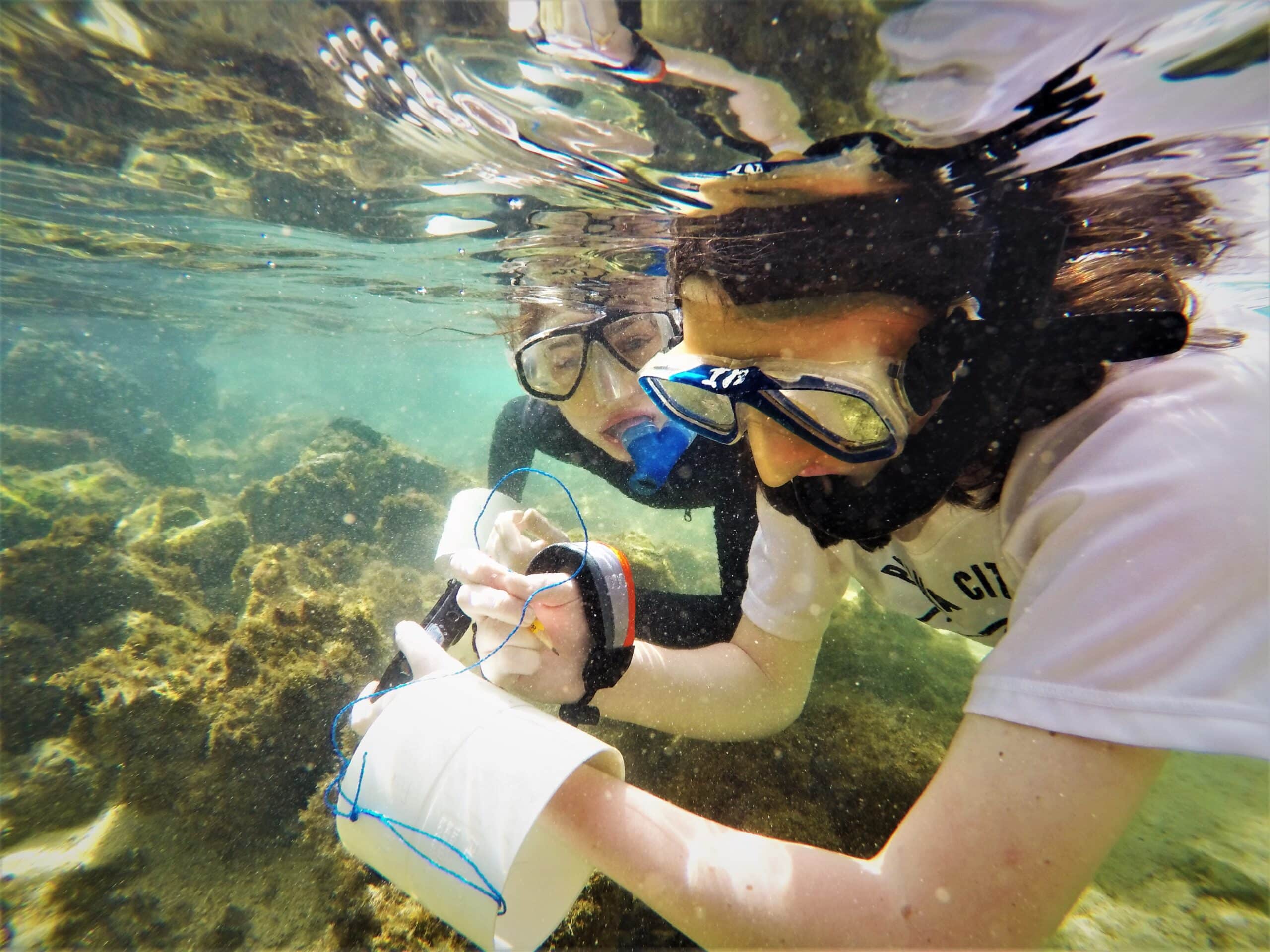 DCIM100GOPROGOPR0177.