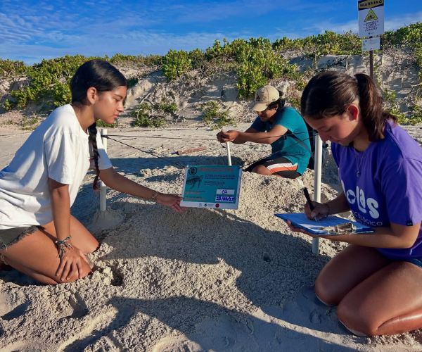 Marine Turtle Nest Protection _4